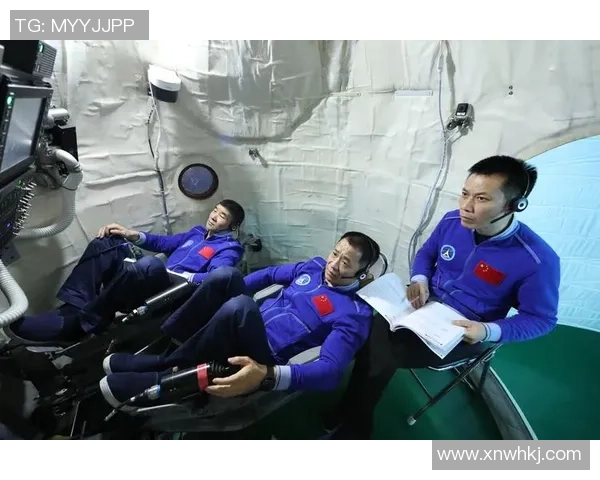 杨秀英专访揭秘排球成功秘诀与背后故事分享