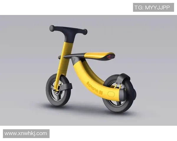 滑板战术与团队协作：探秘武汉滑板队的成功运营模式与发展策略