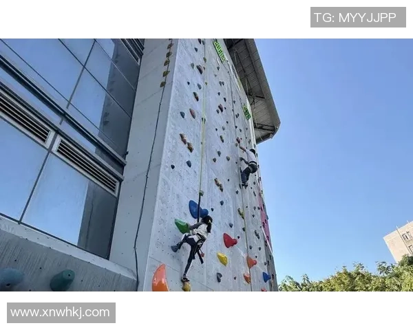 南京攀岩队如何通过节奏革新提升竞技水平与团队协作能力 南京攀岩队如何通过节奏革新提升竞技水平与团队协作能力